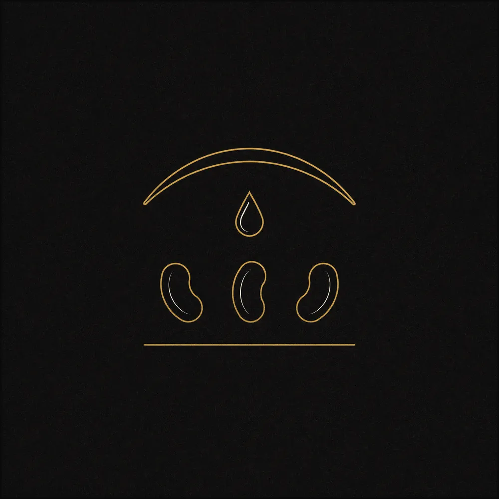 Abstract line drawing of a row of bean-like ovals, a hanging droplet, and a curved petal shape on a dark square background.